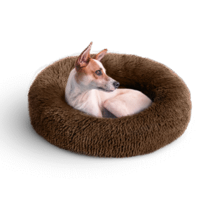 DONUT BROWN